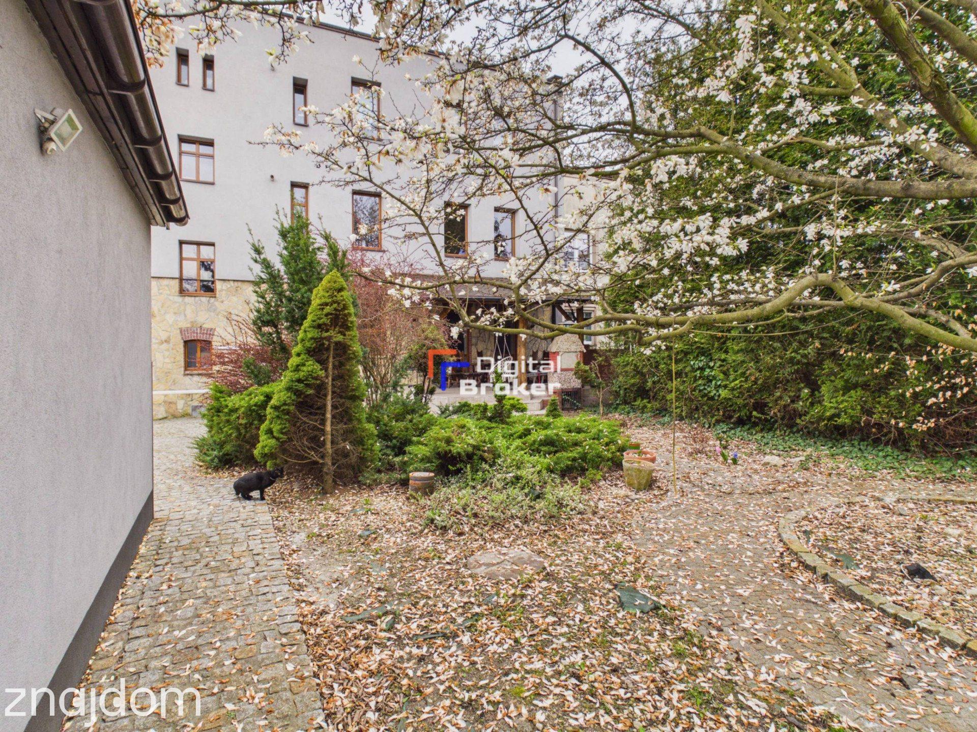 Kamienica: Trzy Apartamenty z Ogrodem- d.p. 30tys/mc - zdjęcie 25