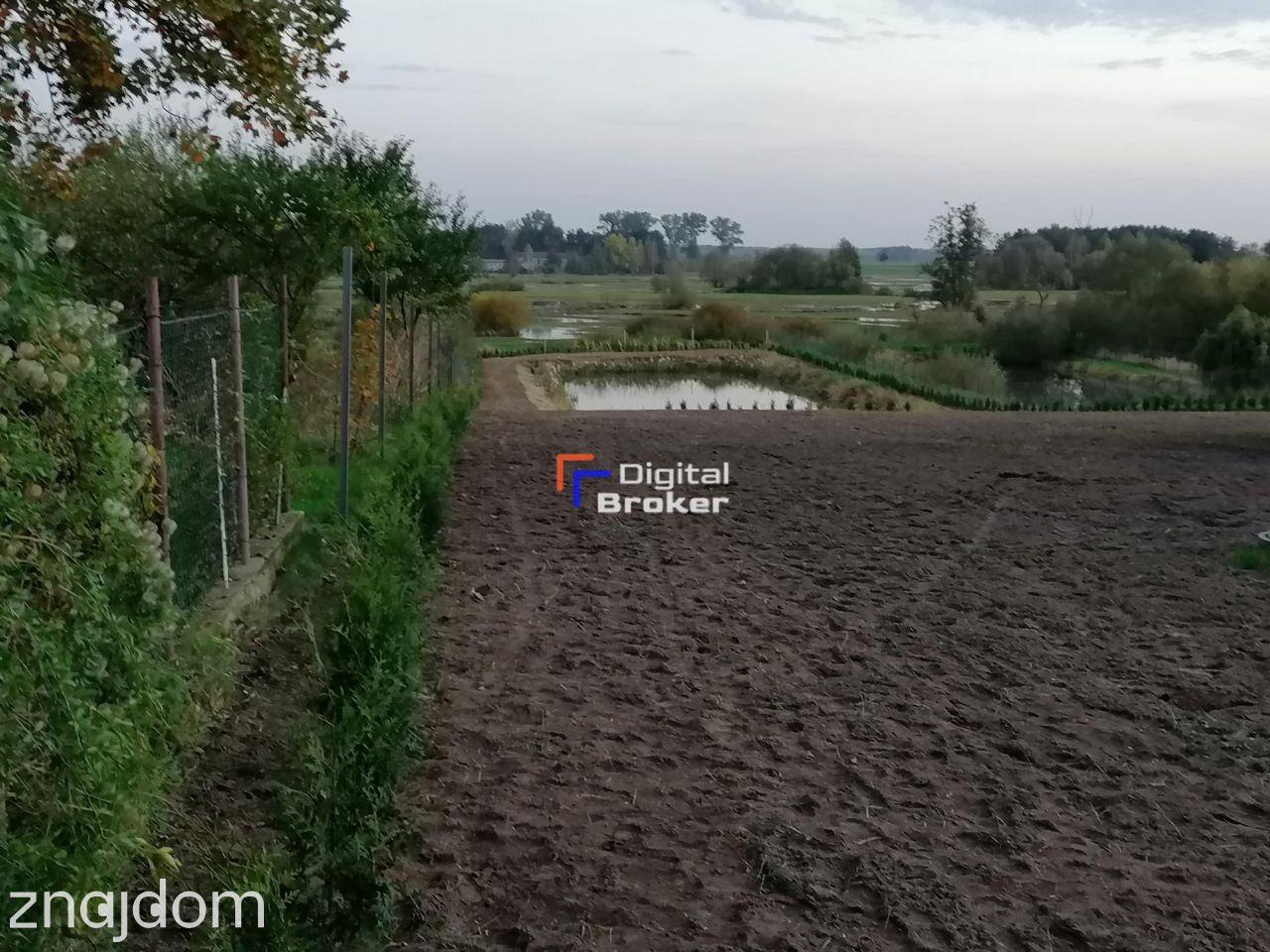 *Staw*Duży potencjał*Cisza* - zdjęcie 14