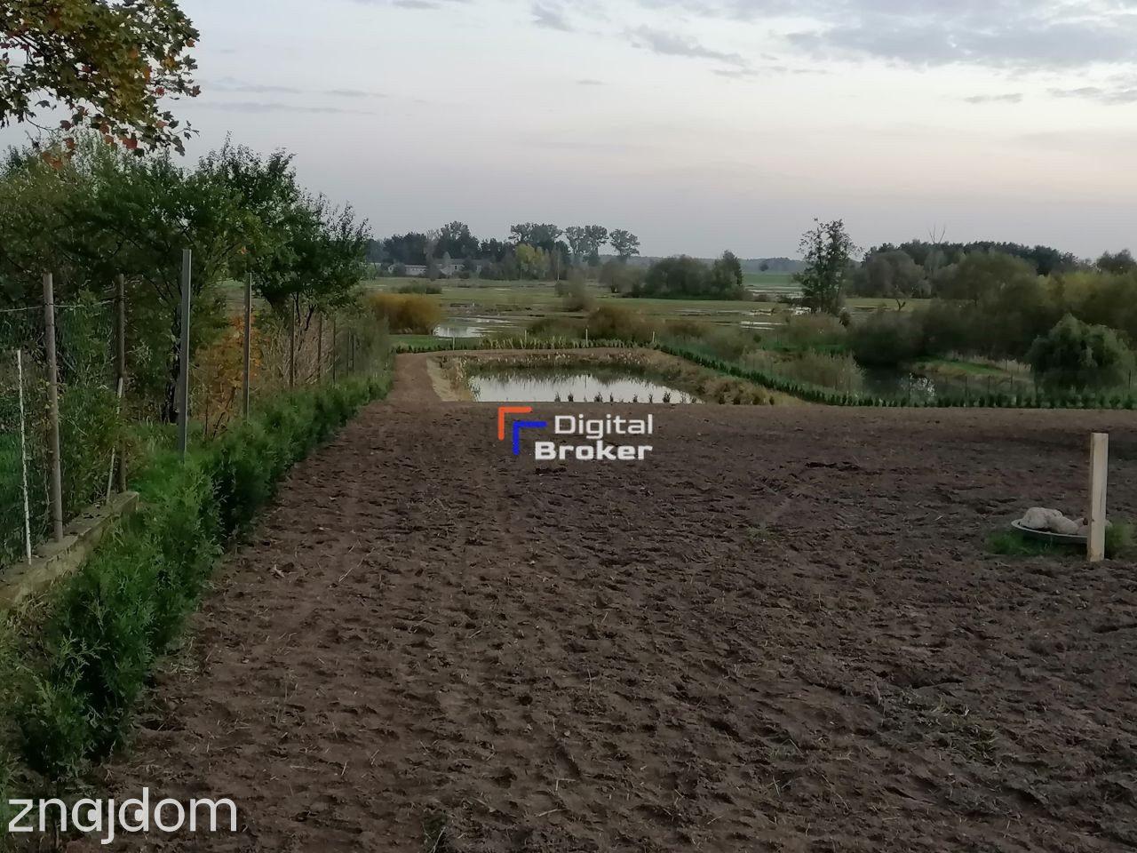 *Staw*Duży potencjał*Cisza* - zdjęcie 15