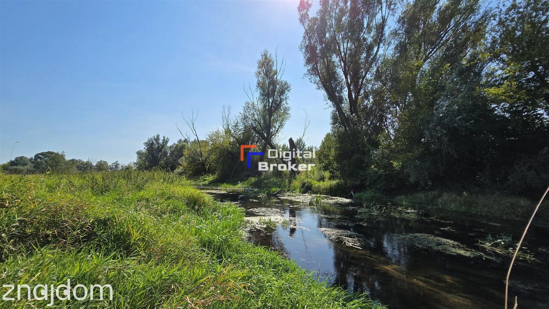 Siedlisko 200 m² | stodoła 190 m² | 0,45 ha | 12 min od Kazimierza | Inwestycja - zdjęcie 20