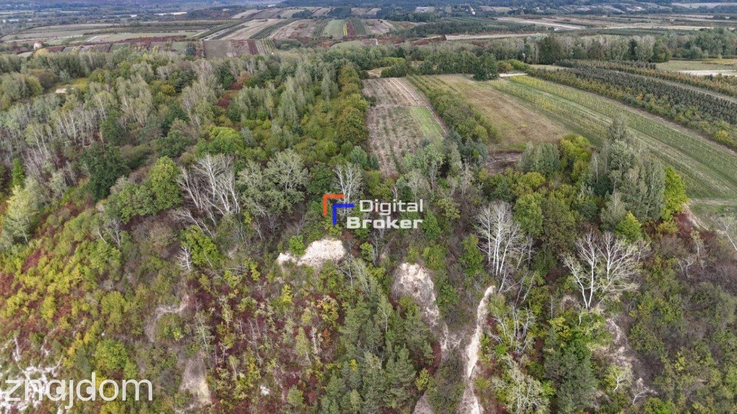 Siedlisko 200 m² | stodoła 190 m² | 0,45 ha | 12 min od Kazimierza | Inwestycja - zdjęcie 23
