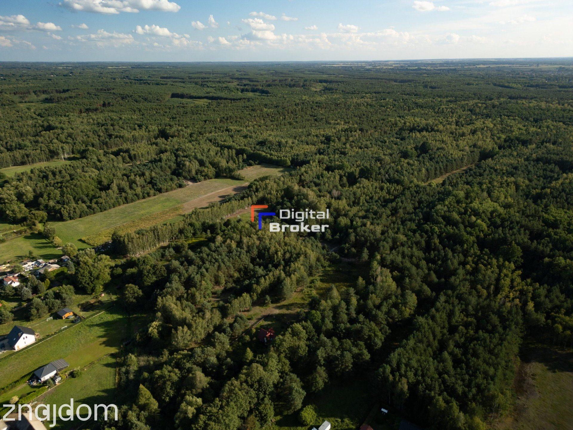 Działka 1,31 ha z warunkami zabudowy | Bartniki | Puszcza Mariańska - zdjęcie 13