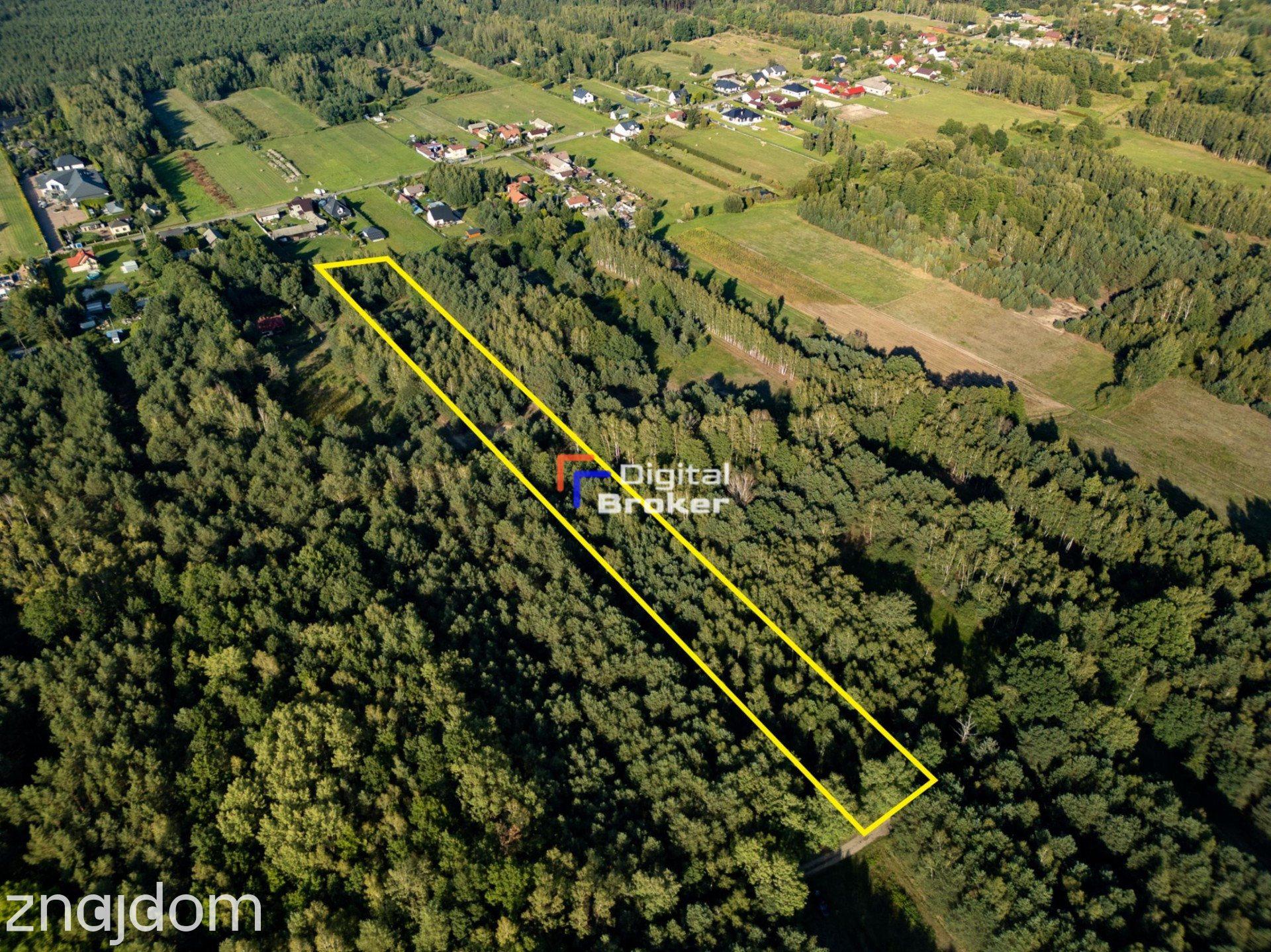 Działka 1,31 ha z warunkami zabudowy | Bartniki | Puszcza Mariańska - zdjęcie 15