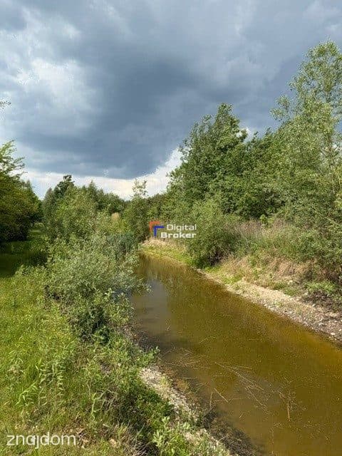 Wyjątkowe siedlisko 1,68 ha | 3 stawy | 50 km od Warszawy - zdjęcie 9