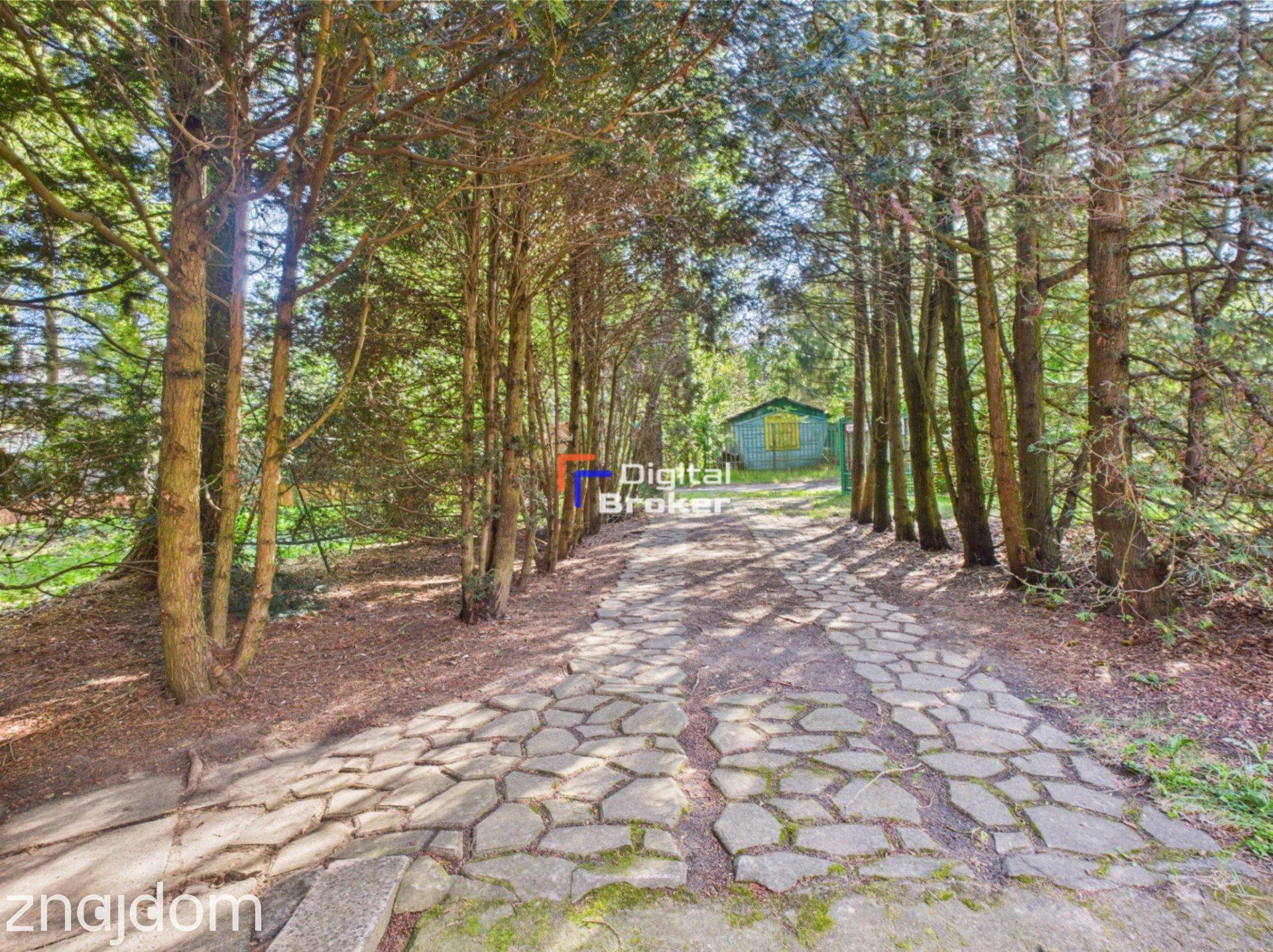 Załubice Nowe, 2600 m², urocza działka ze stawem - zdjęcie 16
