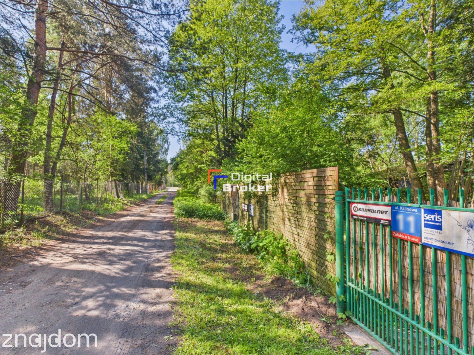 Załubice Nowe, 2600 m², urocza działka ze stawem - zdjęcie 7