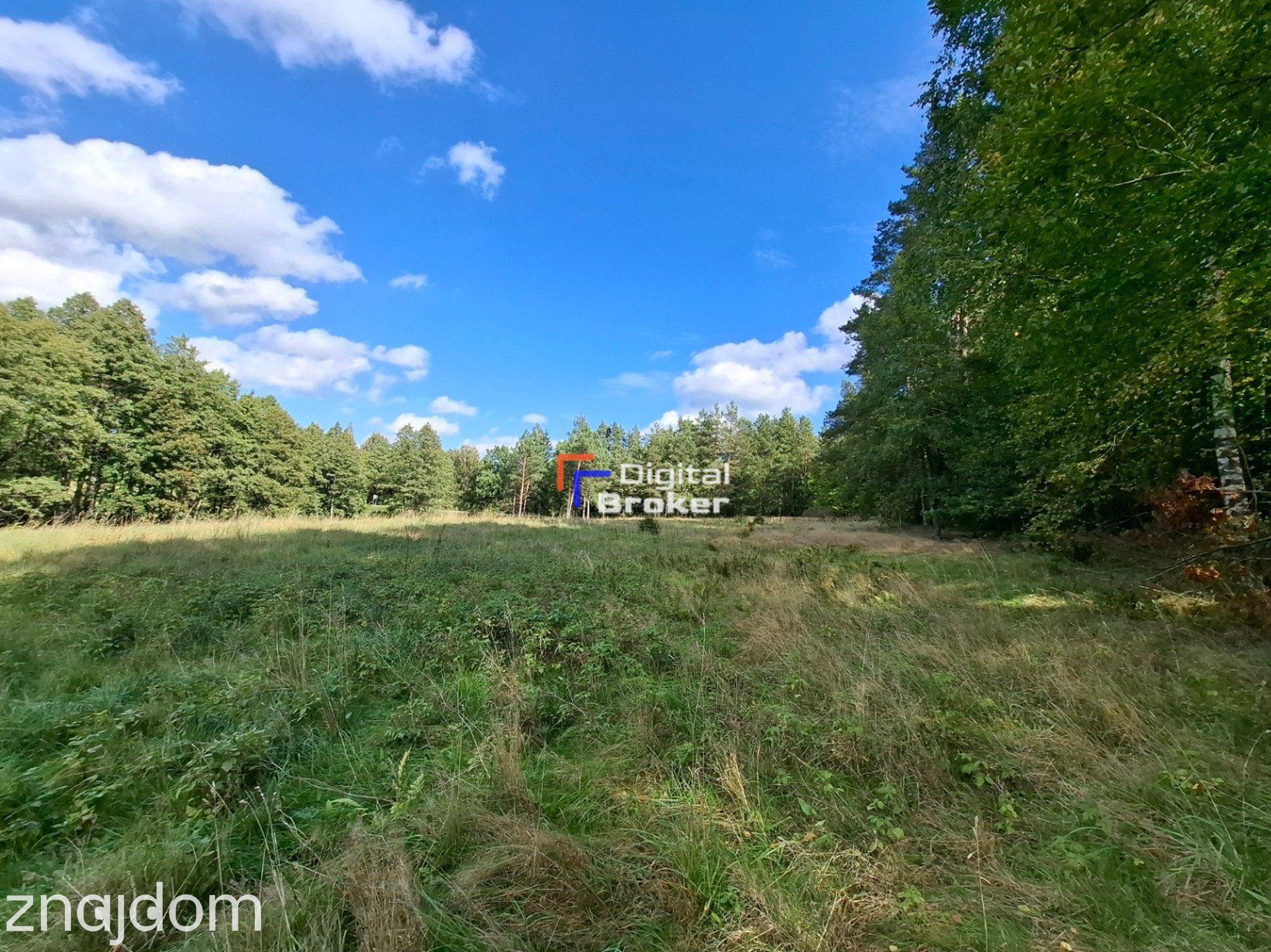 ✩ MAZURY ✩ Działka inwestycyjna ✩ Las ✩ Jezioro - zdjęcie 8
