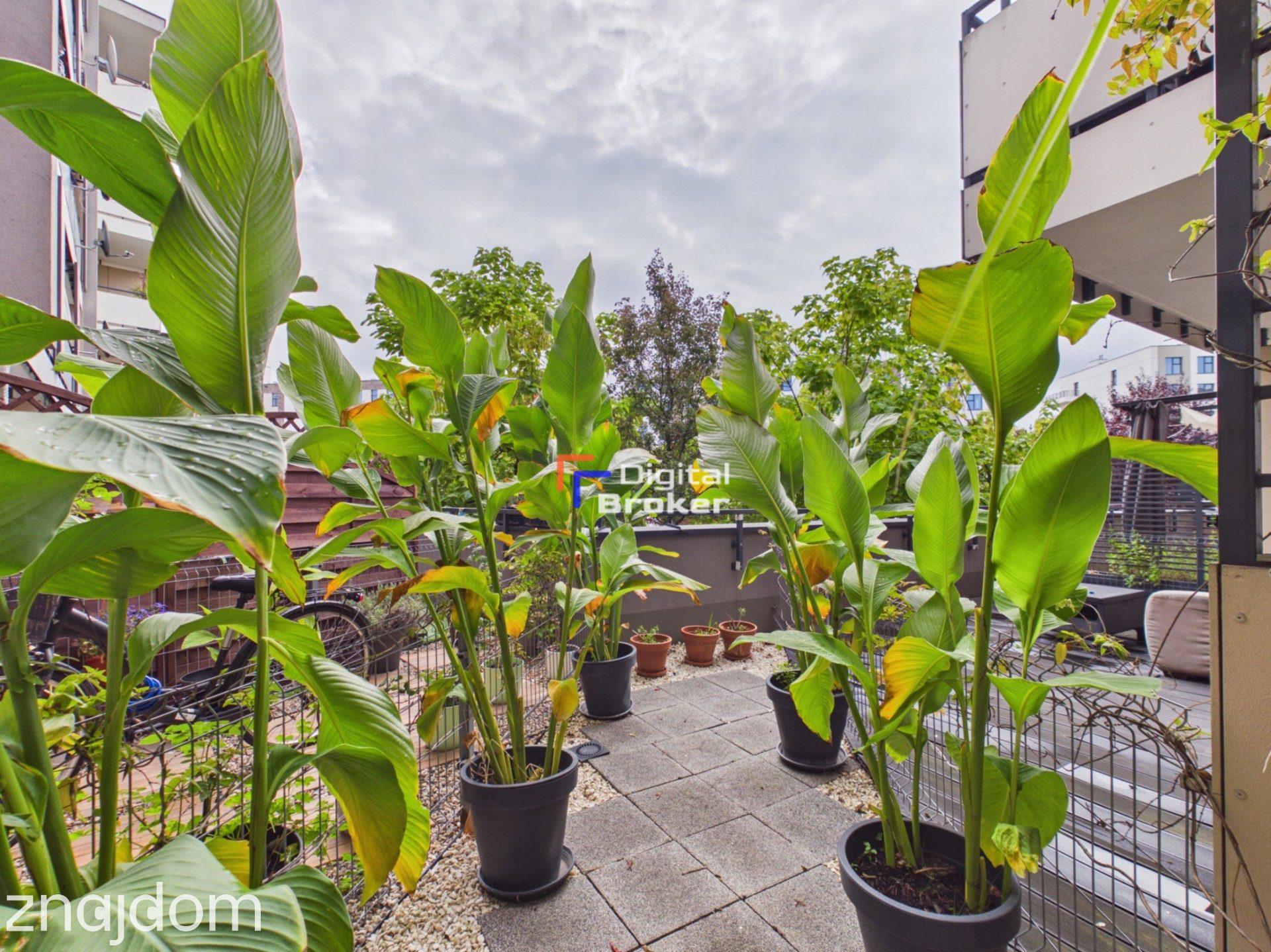 69 m²- 3 pok | 2 tarasy - 31 m² | Gotowe do zamieszkania - zdjęcie 8