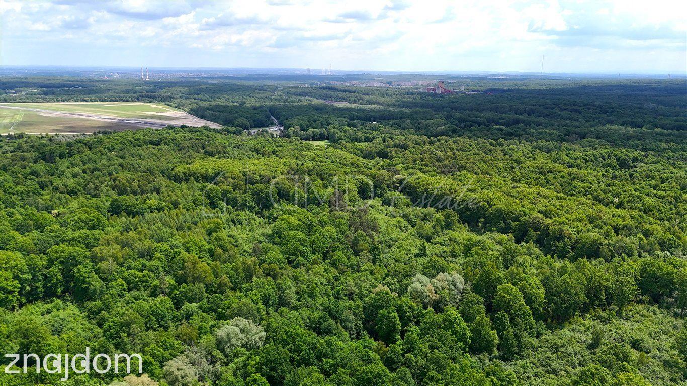 3 pokoje 86,5 m² | Park Kościuszki | ul. Wróbli - zdjęcie 19