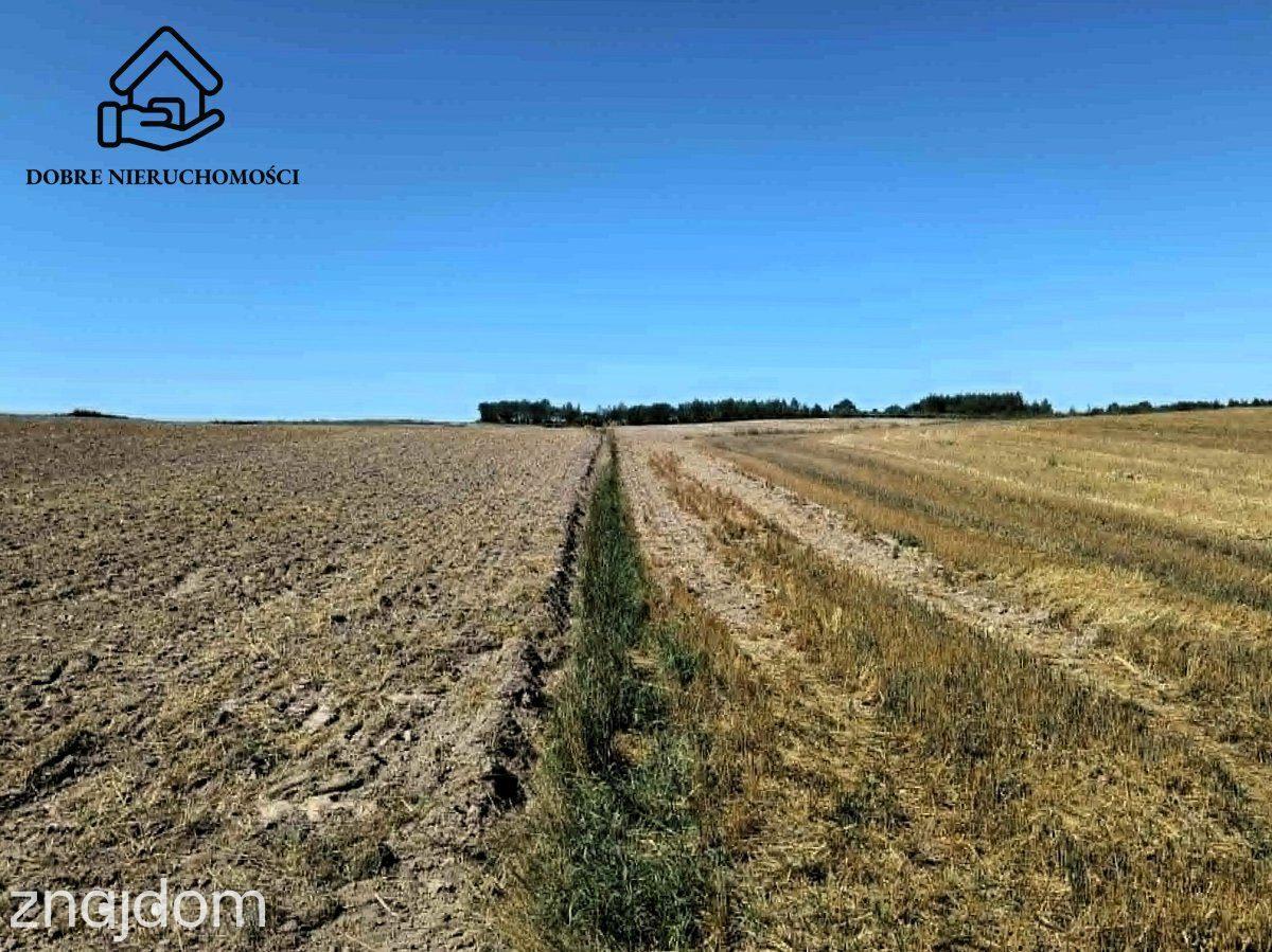Działka, Chłaniów - zdjęcie 2