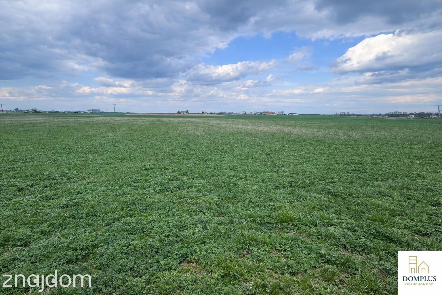 Działka budowlana 1184 m² Nowa Wieś gm. Wronki WZ - zdjęcie 7
