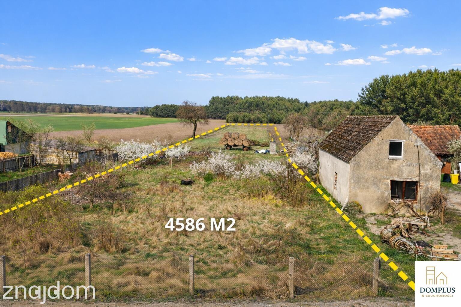 Kruteczek | działka 4586 m² z WZ | Puszcza Notecka | blisko jeziora
