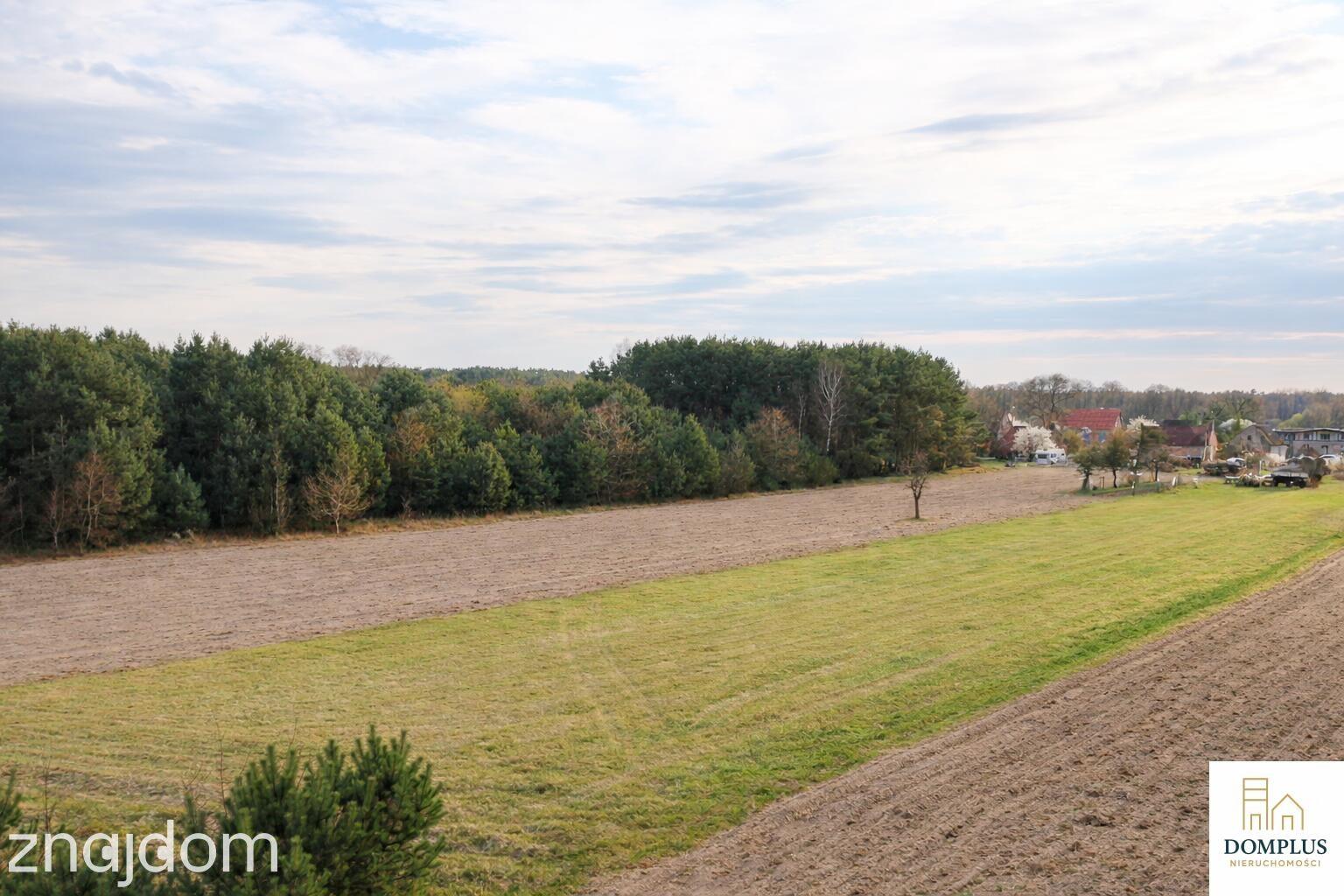 Kruteczek | działka 4586 m² z WZ | Puszcza Notecka | blisko jeziora - zdjęcie 4