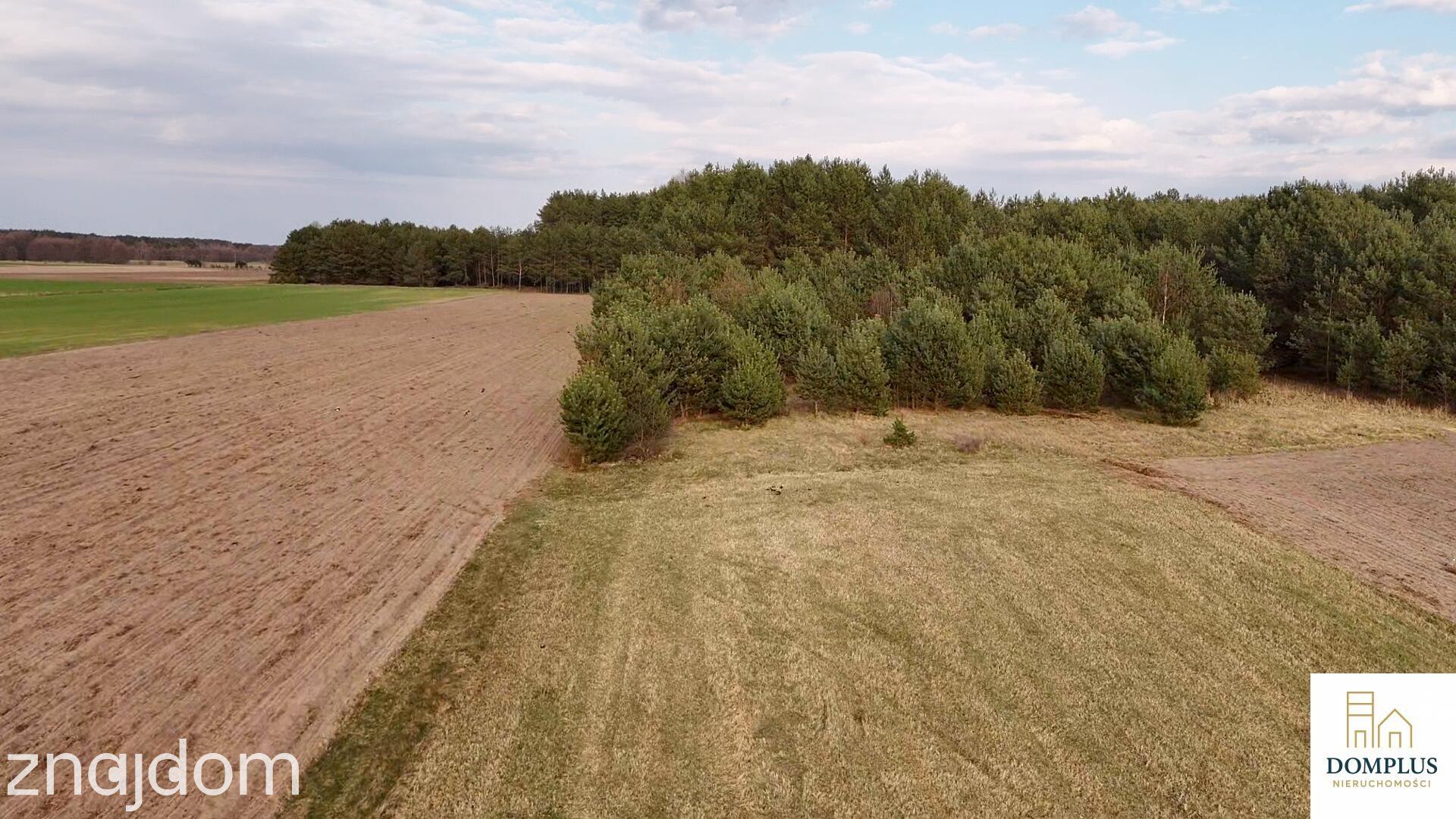 Kruteczek | działka 4586 m² z WZ | Puszcza Notecka | blisko jeziora - zdjęcie 5