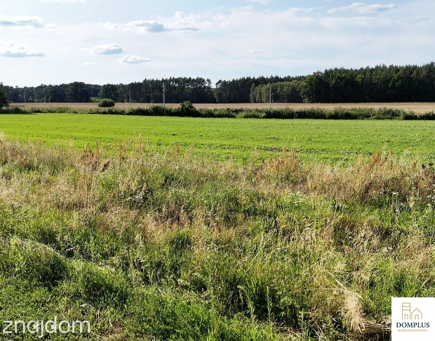 TUCHOLA | DZIAŁKA 1 564 m² Z WARUNKAMI ZABUDOWY - zdjęcie 7