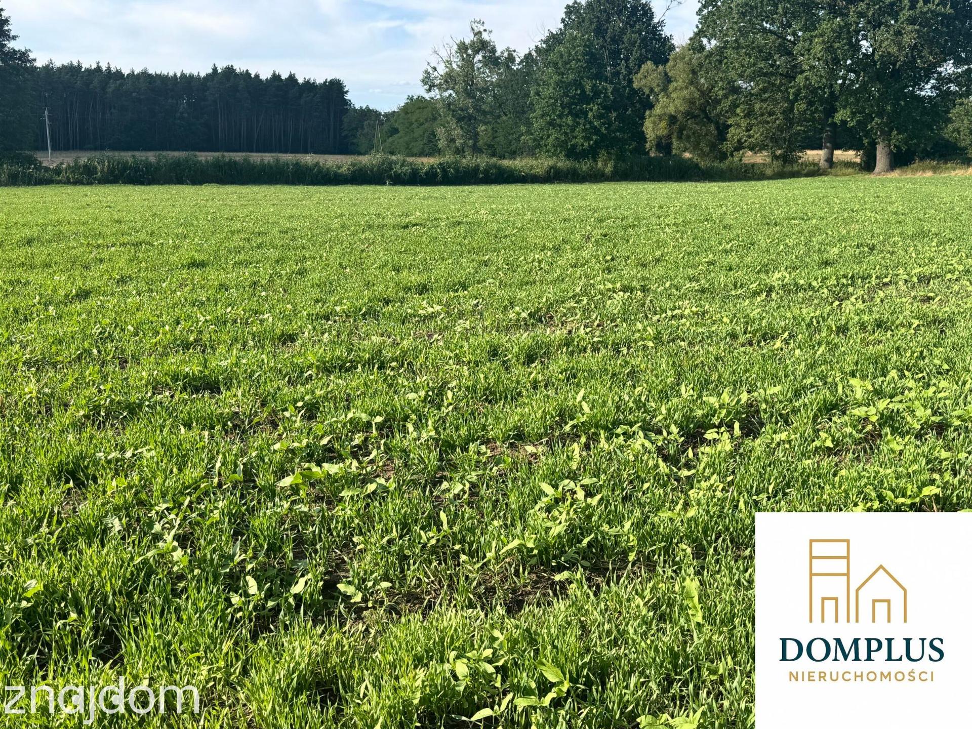 TUCHOLA | DZIAŁKA 1 564 m² Z WARUNKAMI ZABUDOWY - zdjęcie 8