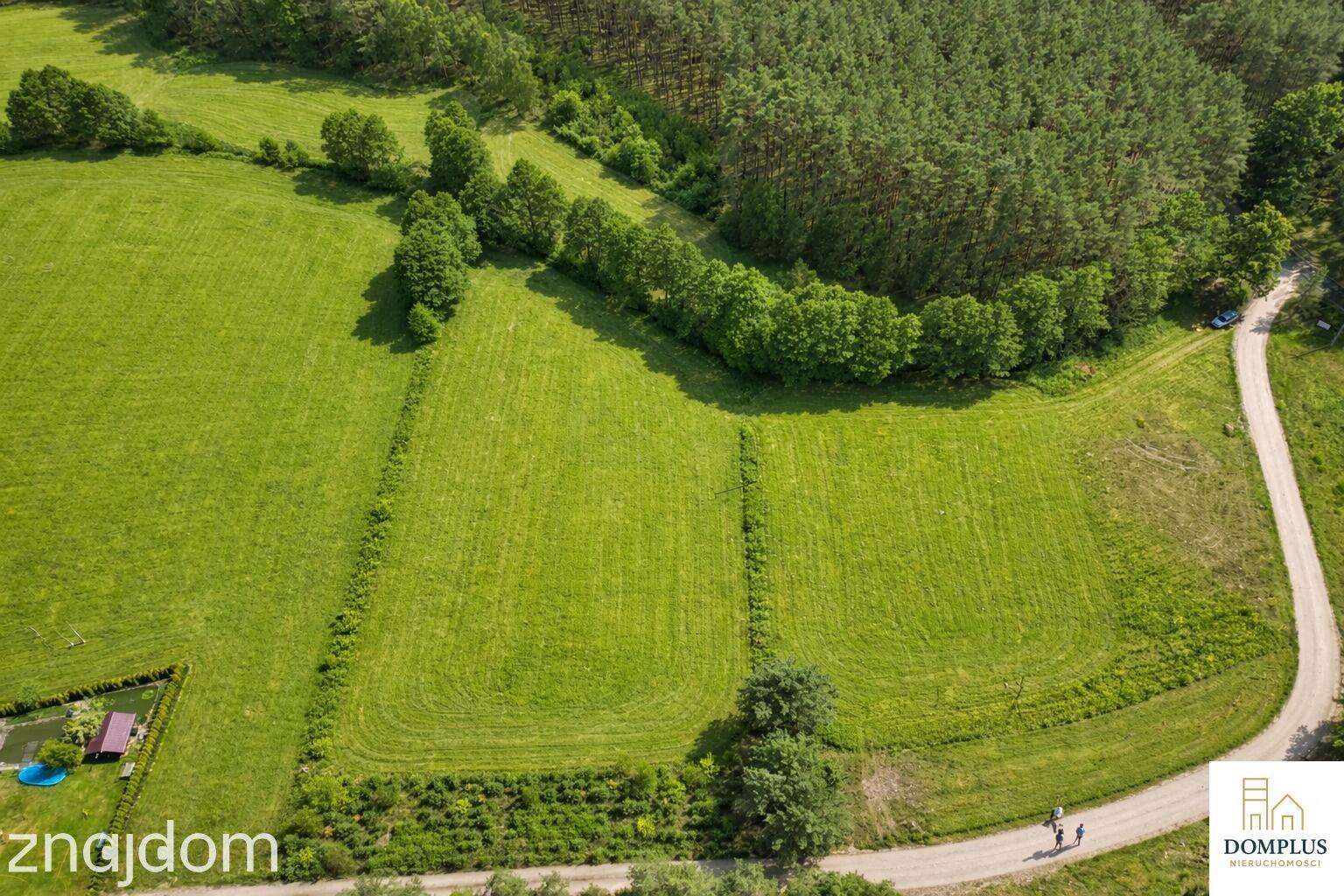 Działki budowlane w Chojnie 2022 mkw, 2556 mkw - zdjęcie 4