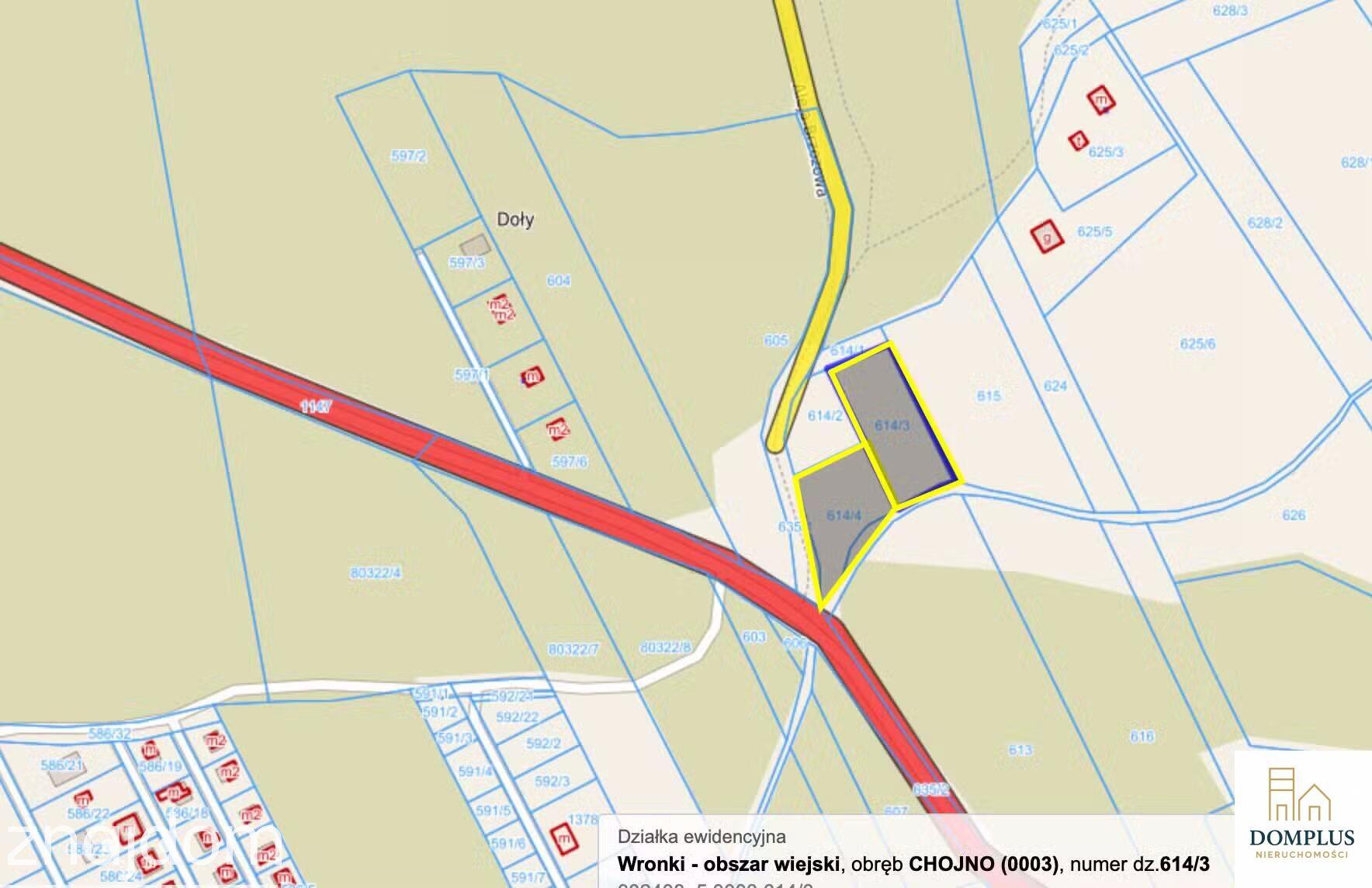 Działki budowlane w Chojnie 2022 mkw, 2556 mkw - zdjęcie 5