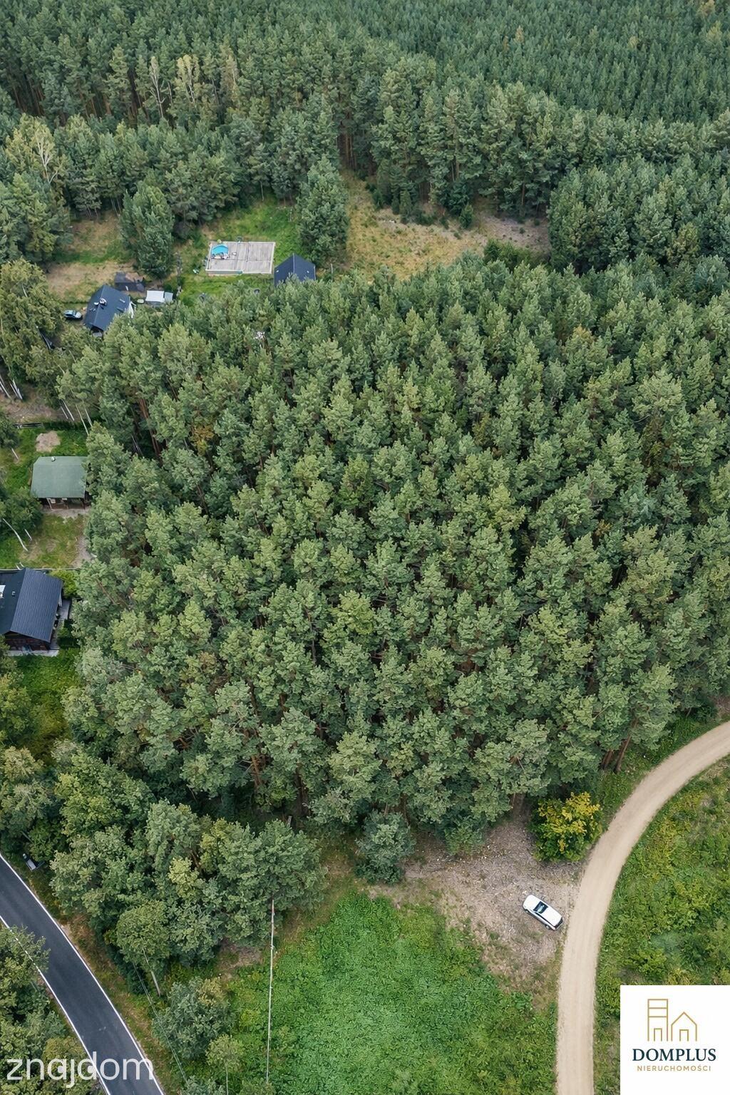 Chojno – działki przy Puszczy Noteckiej i jeziorach - zdjęcie 6