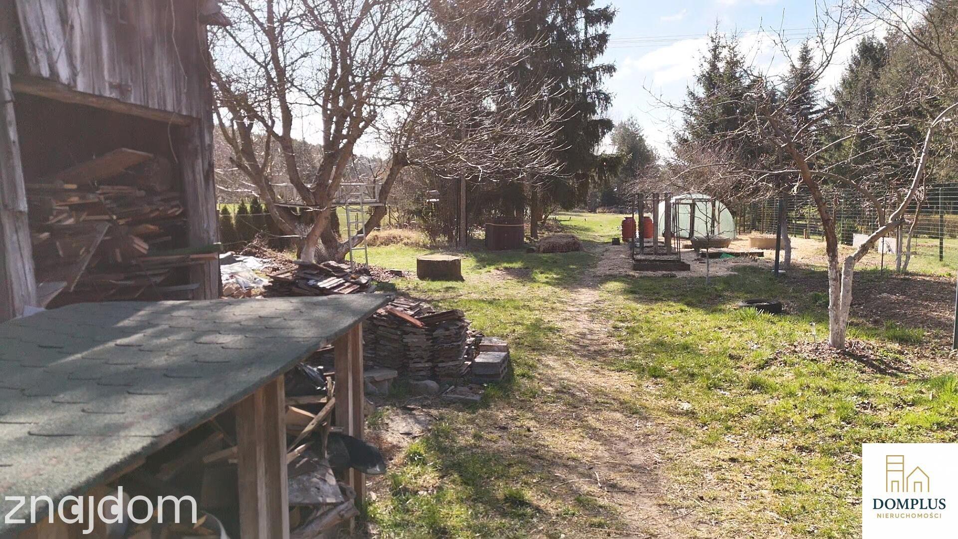 Chojno | dom wśród lasów | działka 3200 m² | duży potencjał - zdjęcie 11