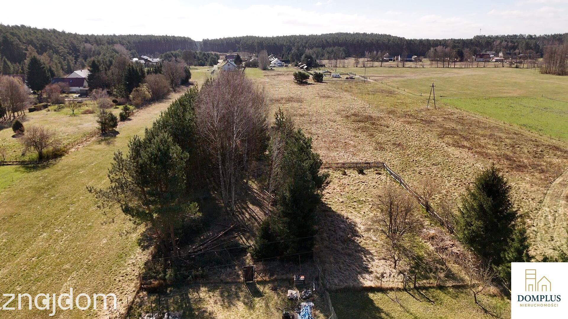 Chojno | dom wśród lasów | działka 3200 m² | duży potencjał - zdjęcie 12