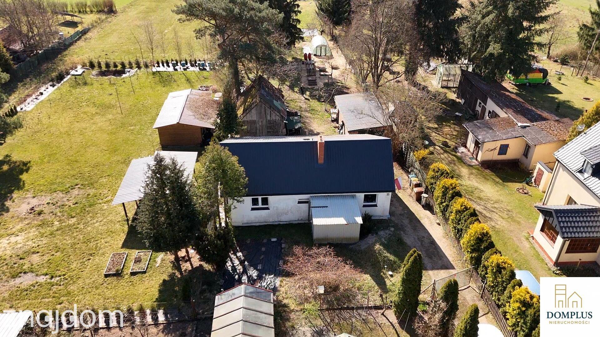 Chojno | dom wśród lasów | działka 3200 m² | duży potencjał - zdjęcie 7