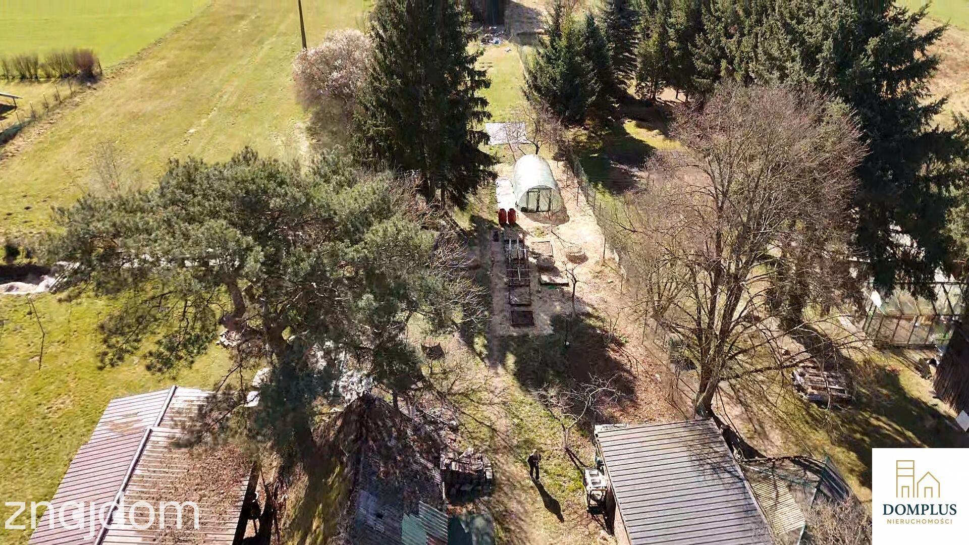 Chojno | dom wśród lasów | działka 3200 m² | duży potencjał - zdjęcie 8