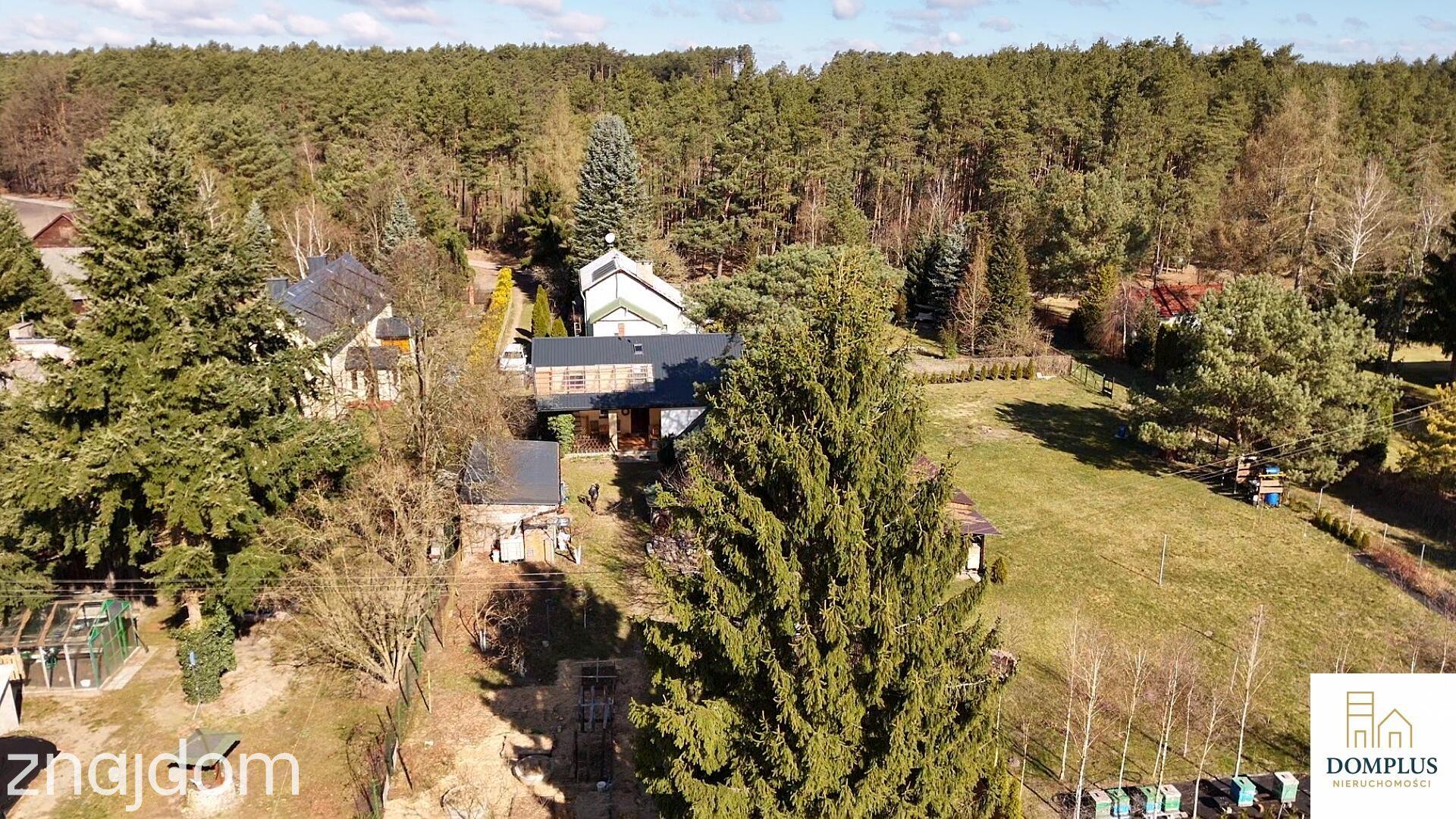 Chojno | dom wśród lasów | działka 3200 m² | duży potencjał - zdjęcie 9