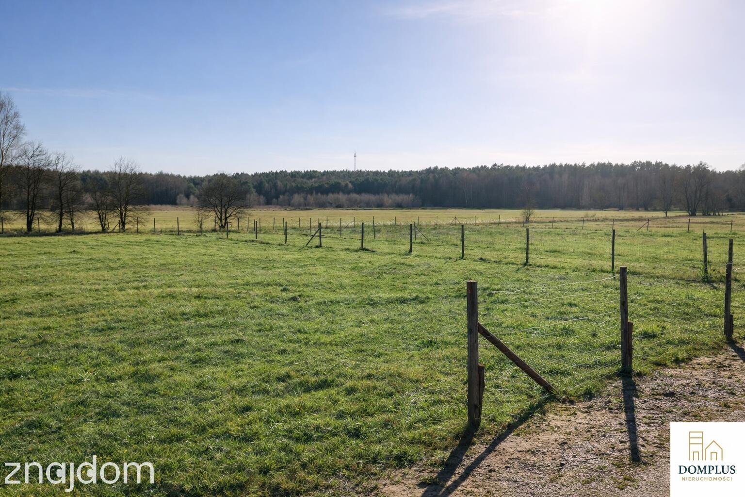 Na sprzedaż działki – Klempicz, gm. Lubasz - zdjęcie 4