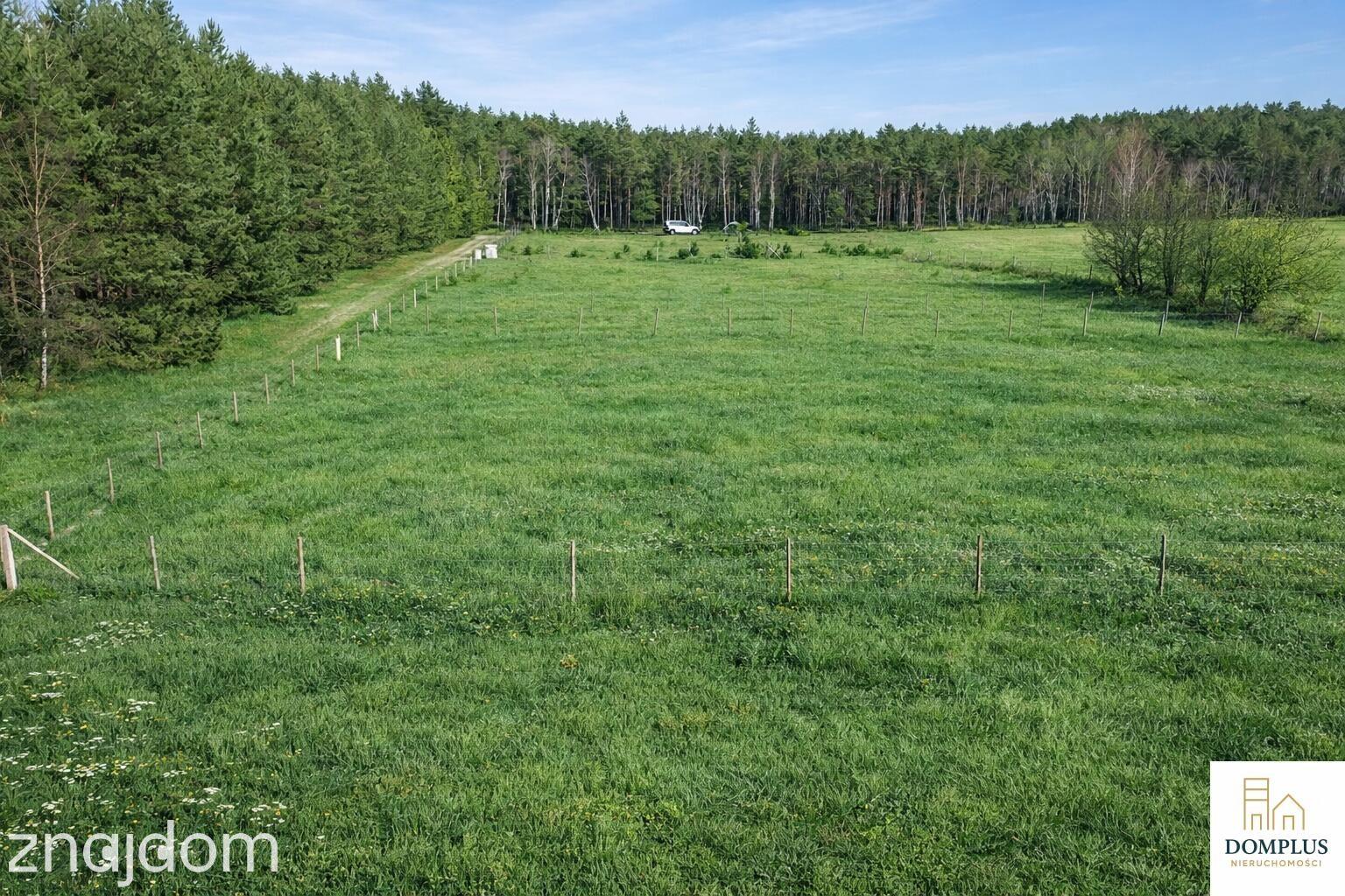 Na sprzedaż działki – Klempicz, gm. Lubasz - zdjęcie 5