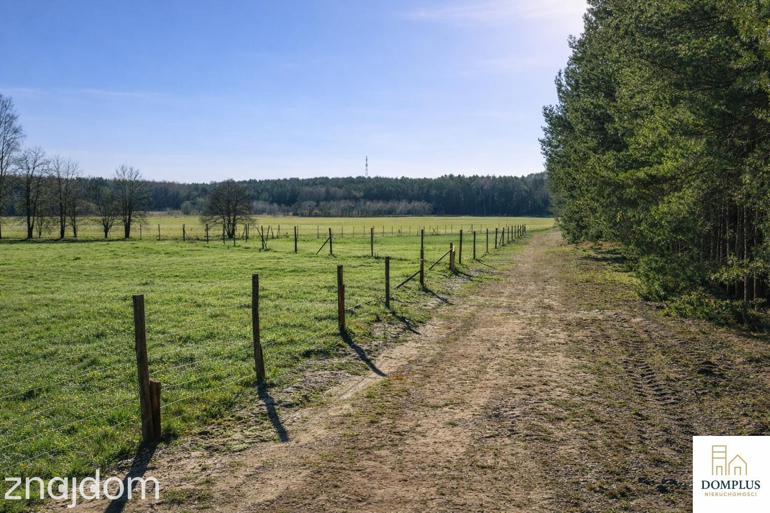 Na sprzedaż działki – Klempicz, gm. Lubasz - zdjęcie 6
