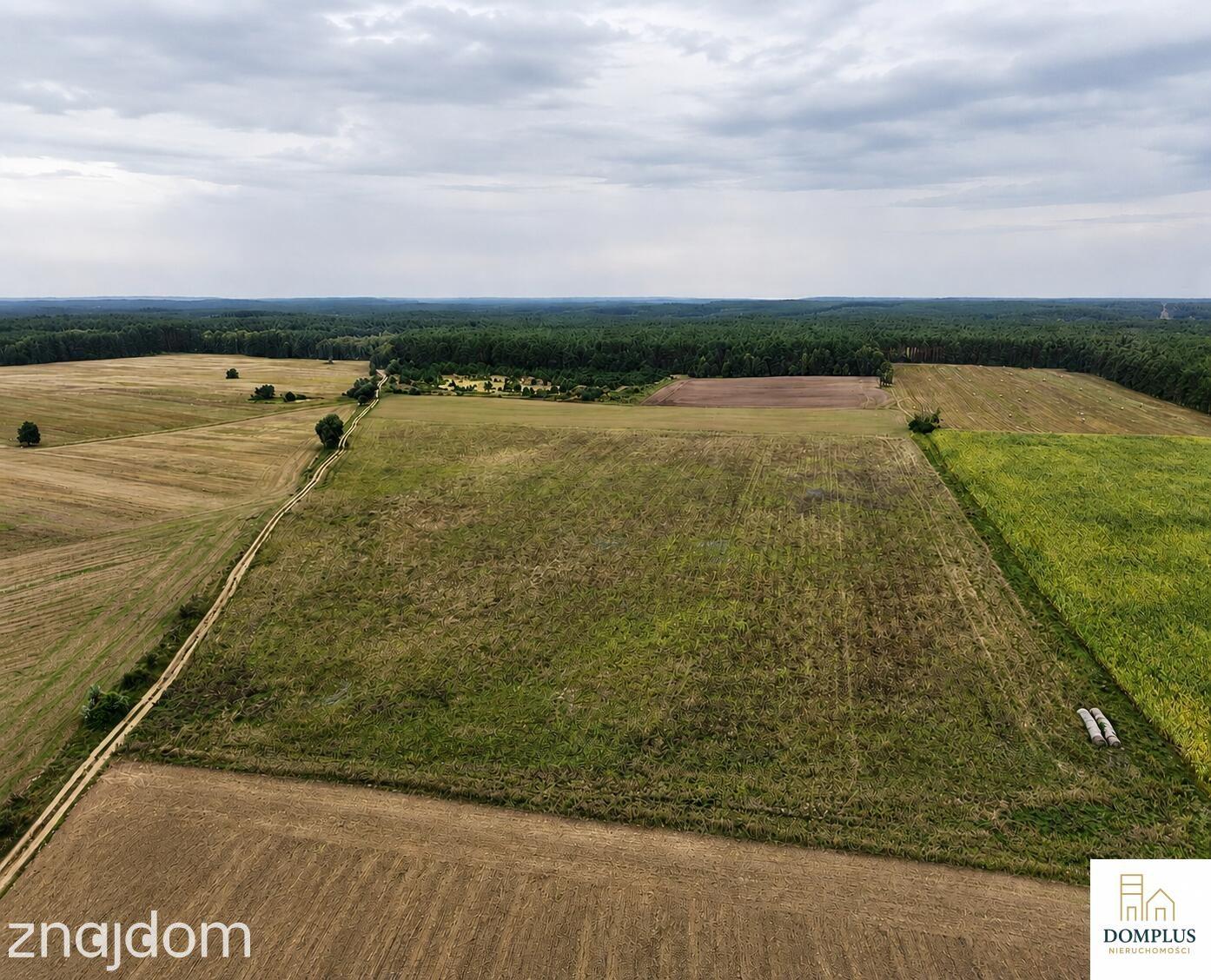 GOSPODARSTWO Z SIEDLISKIEM | 19,8630 HA | GŁAŻEWO - zdjęcie 13