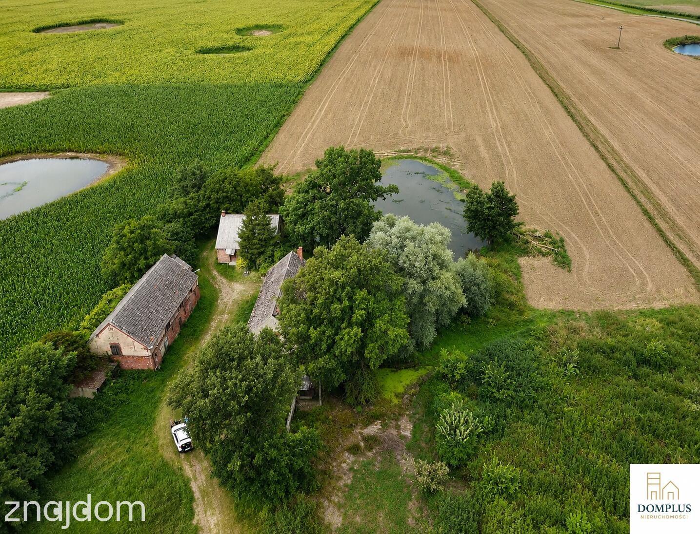 GOSPODARSTWO Z SIEDLISKIEM | 19,8630 HA | GŁAŻEWO - zdjęcie 14