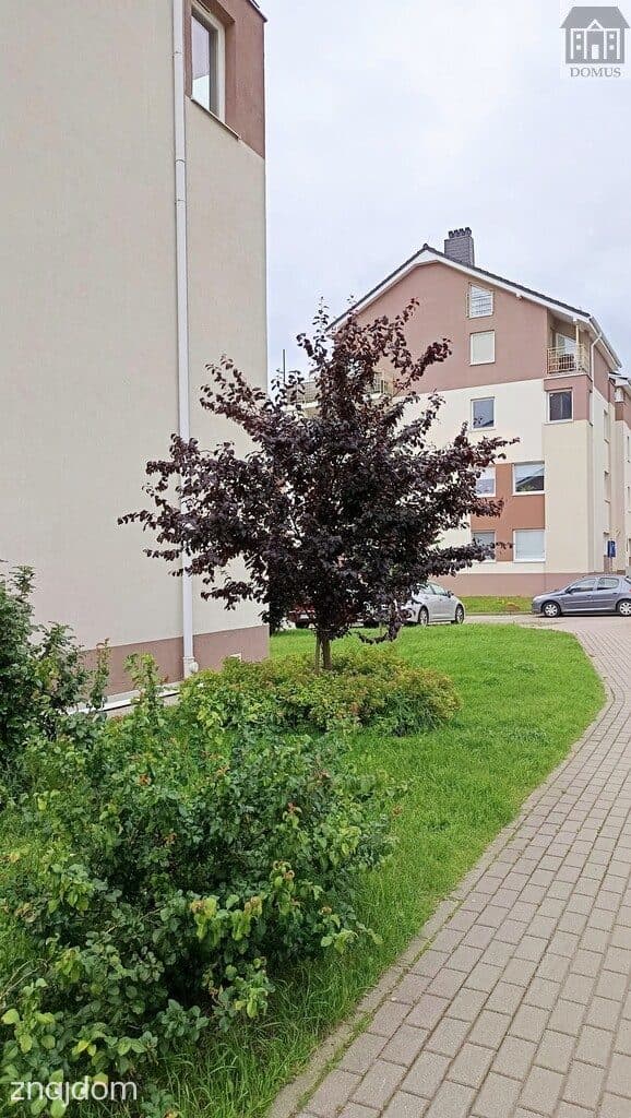 3 pokoje, szkoła, winda, Osowa - zdjęcie 14