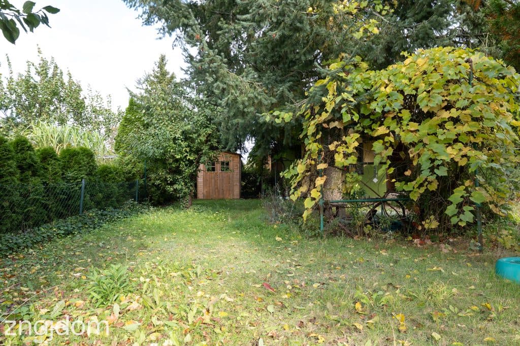 Działka ROD 298 m² z murowanym domkiem ul. Bukowska 235 - zdjęcie 8