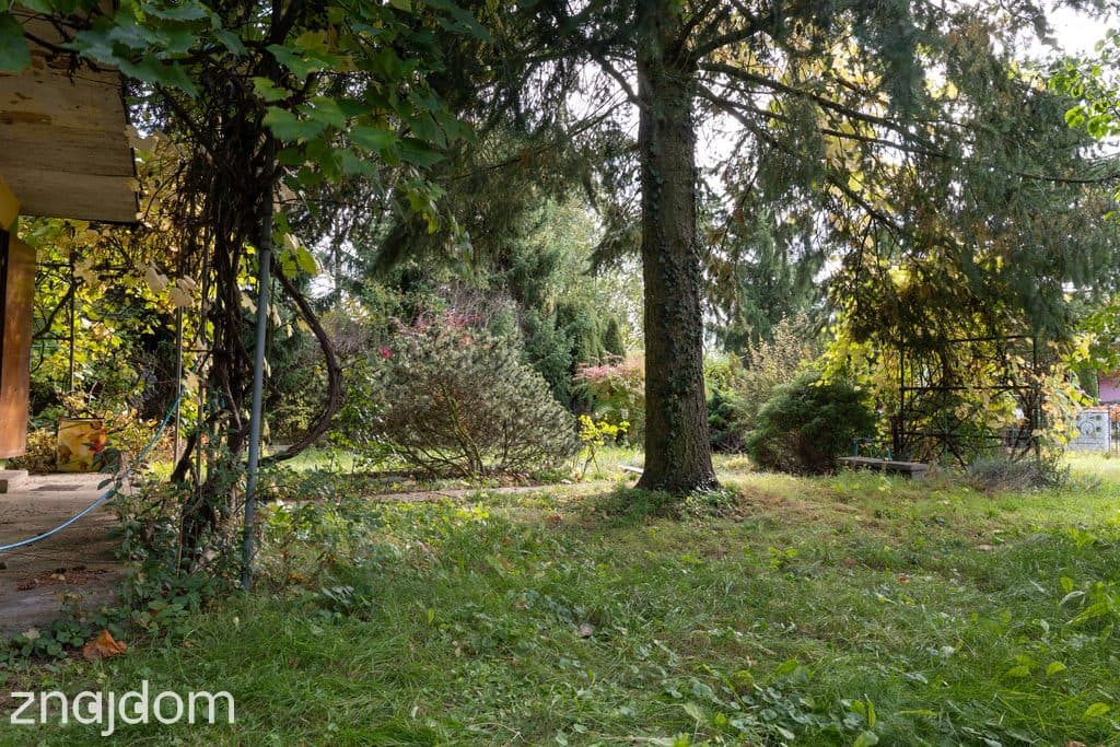 Działka ROD 298 m² z murowanym domkiem ul. Bukowska 235 - zdjęcie 5
