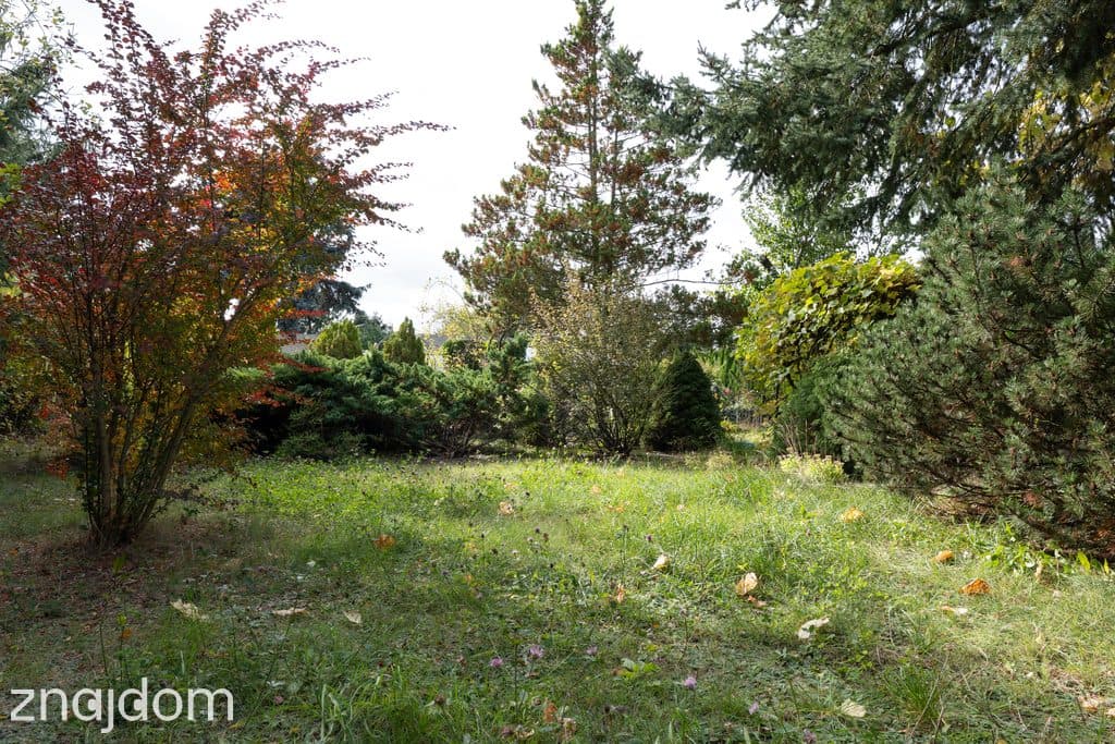Działka ROD 298 m² z murowanym domkiem ul. Bukowska 235 - zdjęcie 10