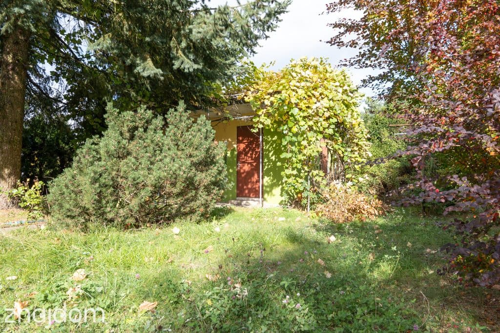 Działka ROD 298 m² z murowanym domkiem ul. Bukowska 235 - zdjęcie 2