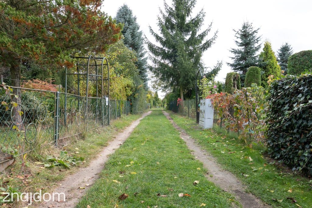 Działka ROD 298 m² z murowanym domkiem ul. Bukowska 235 - zdjęcie 12