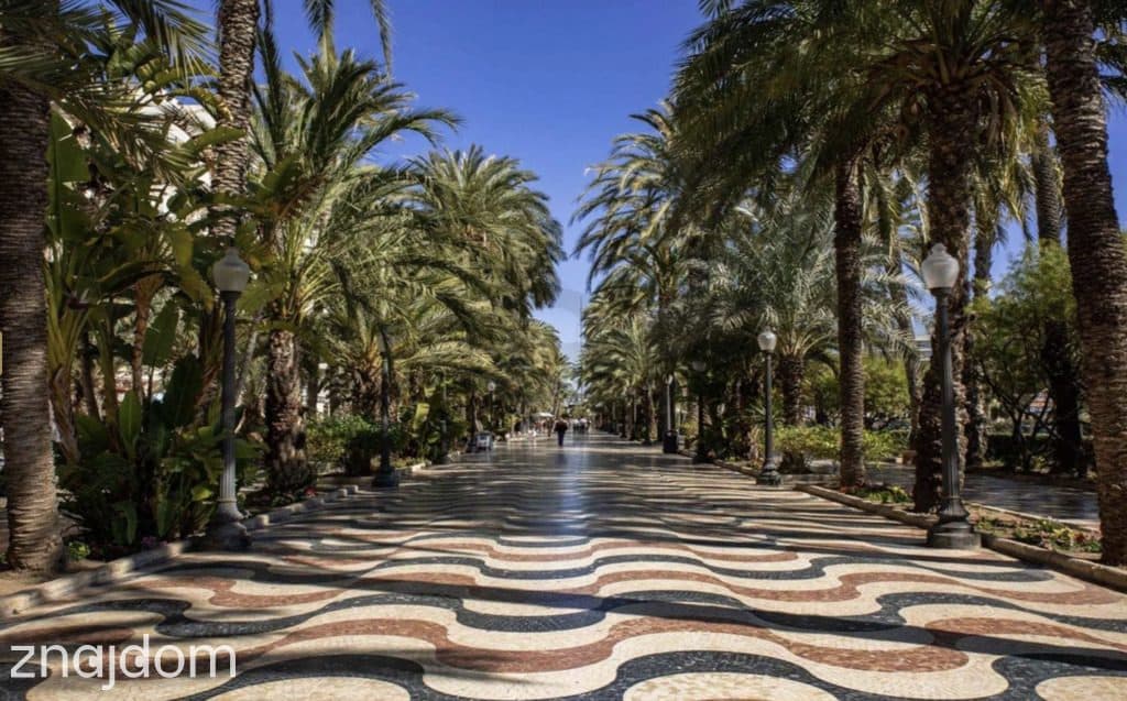 Alicante, Hiszpania | Apartament na sprzedaż - zdjęcie 11