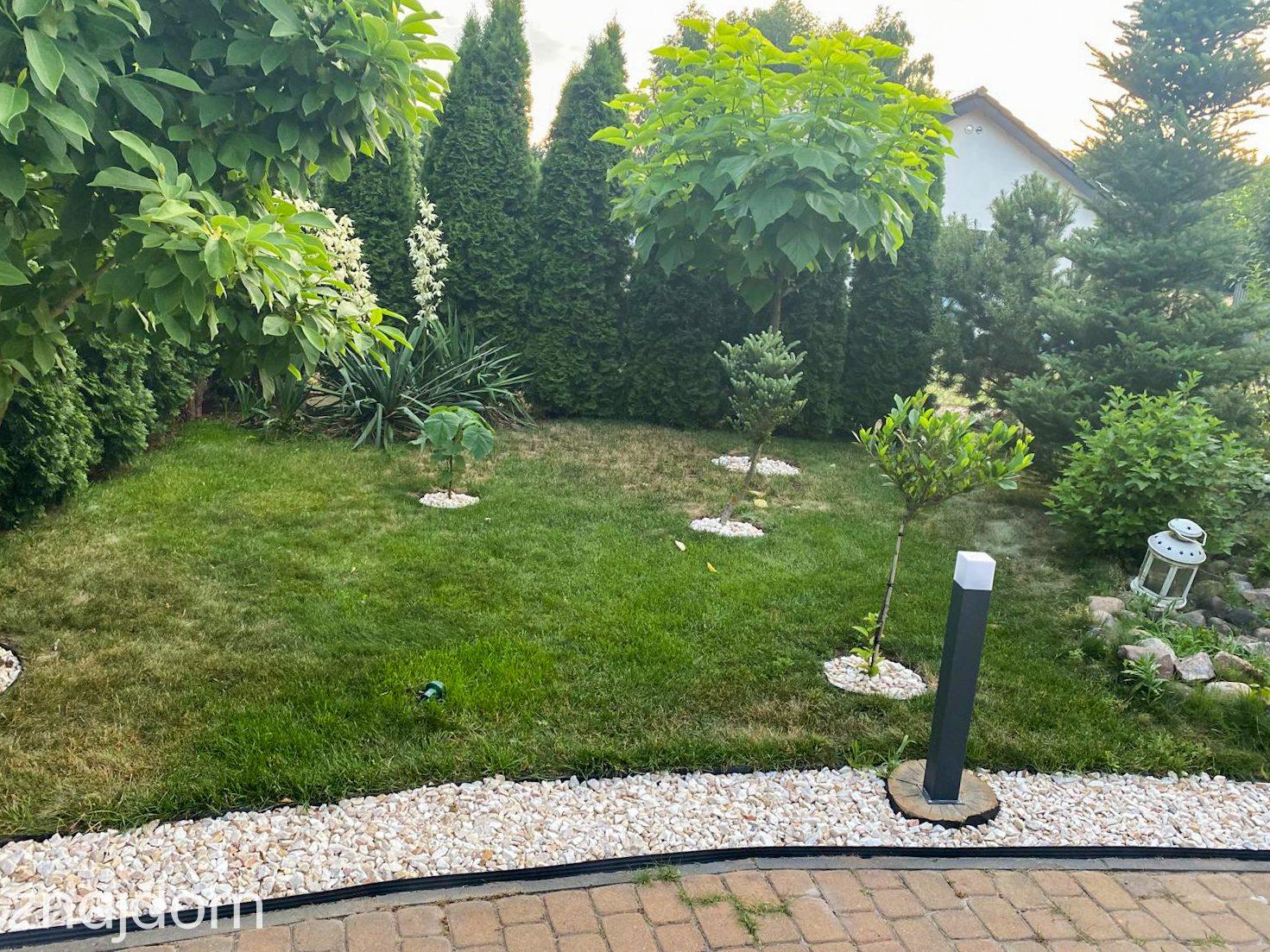Dom ok 70m2, na działce 525m2, Ruszków gm.Brzeźnio - zdjęcie 10