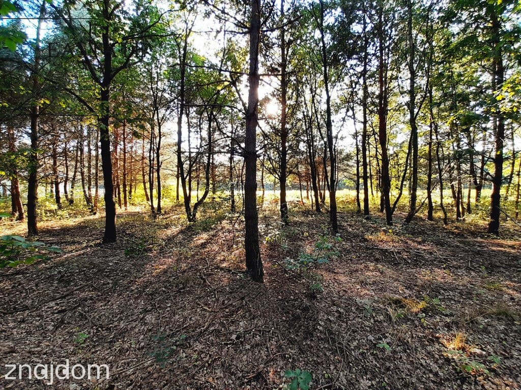 Działka budowlana 904 m² – spokojna okolica, dojaz - zdjęcie 6