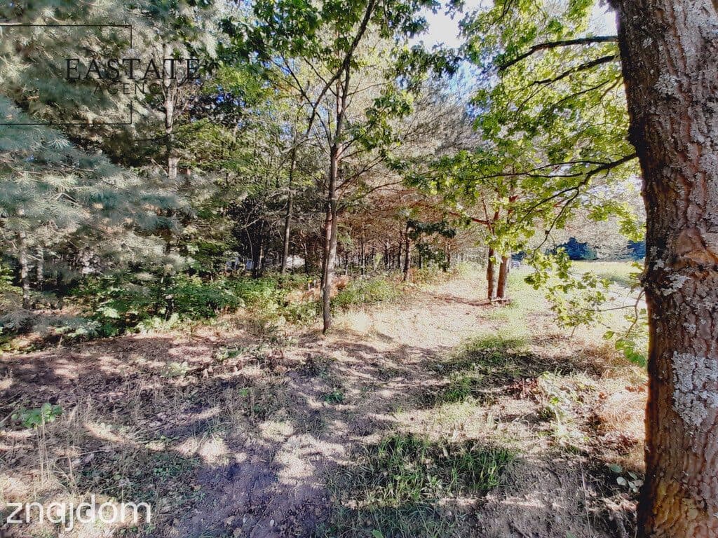 Działka budowlana 904 m² – spokojna okolica, dojaz - zdjęcie 7