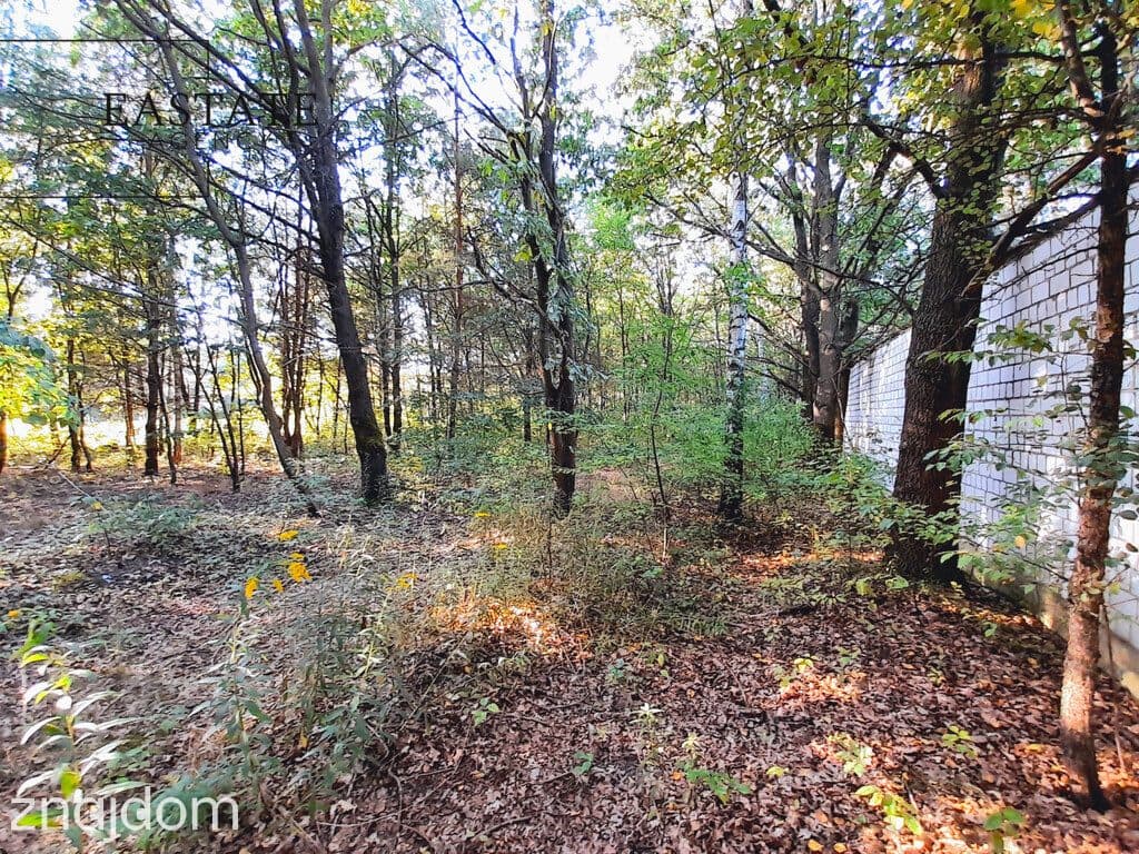 Działka budowlana 904 m² – spokojna okolica, dojaz - zdjęcie 8