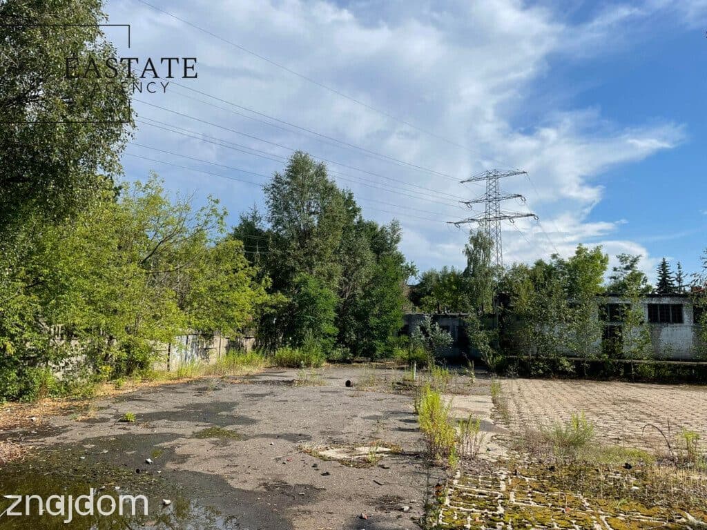 Uzbrojona działka 2793 m² z dojazdem utwardzonym - zdjęcie 7