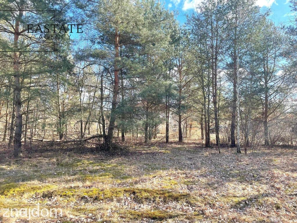 Działka developerska 1737 m²-asfaltowy dojazd. - zdjęcie 4
