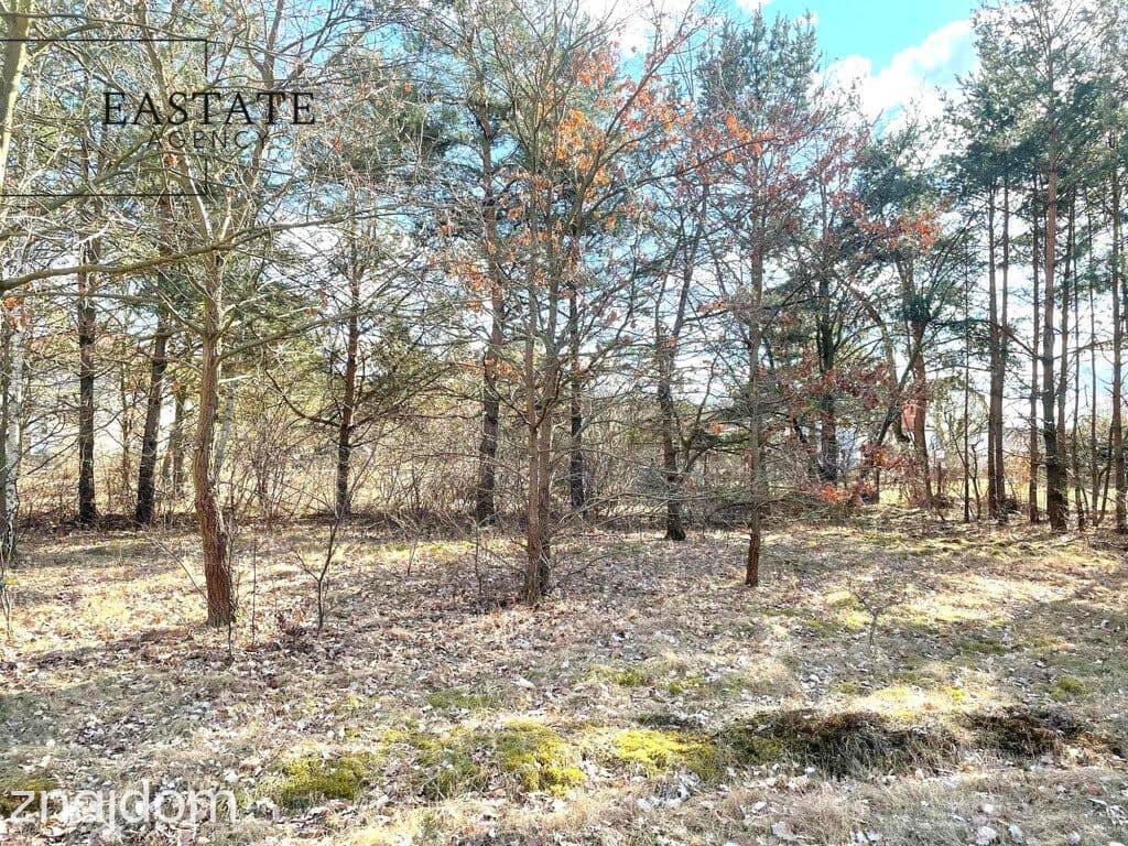 Działka developerska 1737 m²-asfaltowy dojazd. - zdjęcie 13