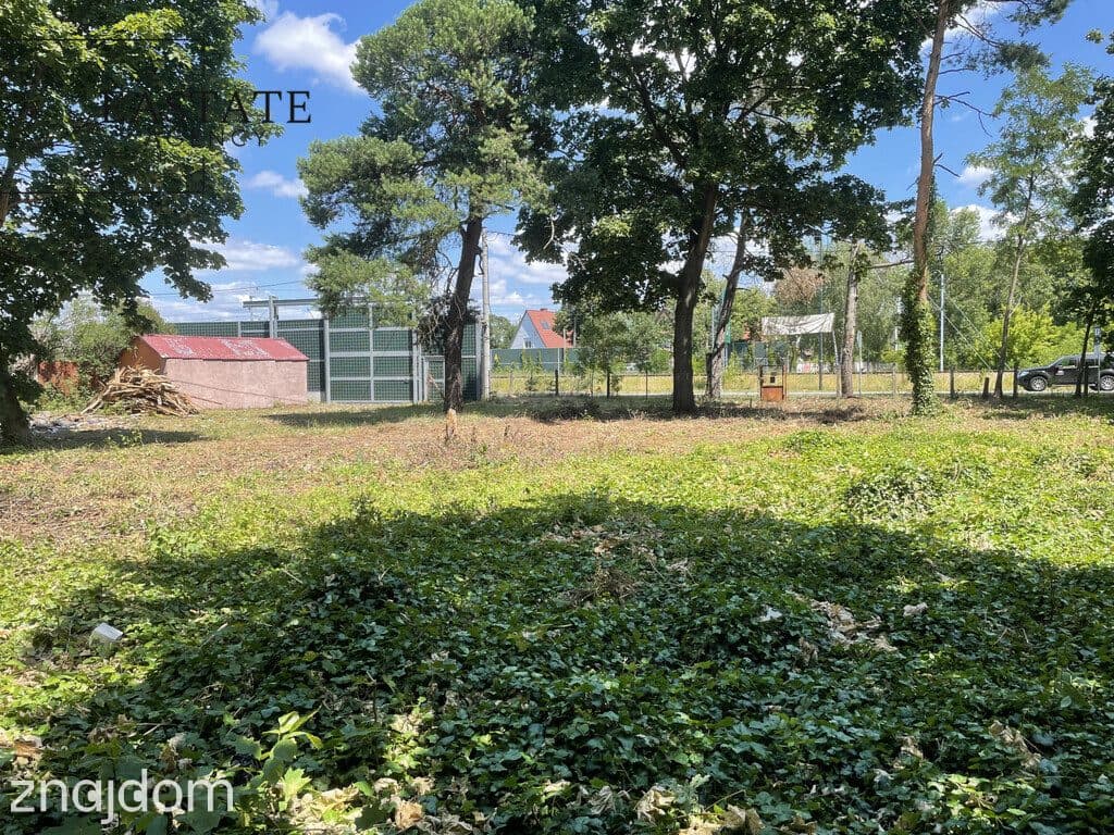 Działka budowlana 1635 m² z asfaltem i ogrodzeniem - zdjęcie 5