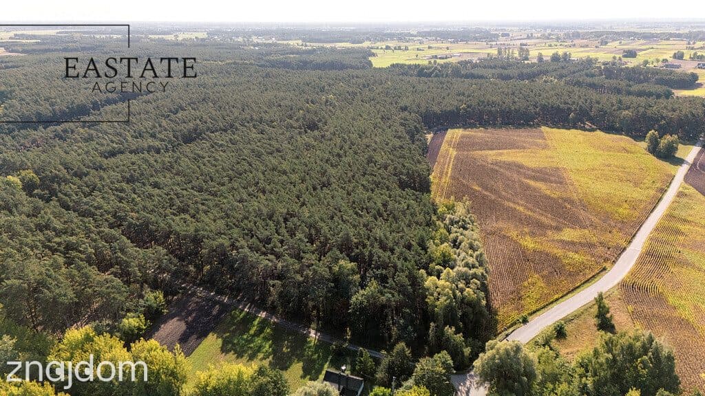 Działka dla osób szukających ciszy i natury - zdjęcie 3