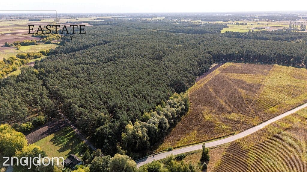 Działka dla osób szukających ciszy i natury - zdjęcie 4